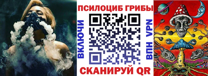 закладка Калининск Псилоцибиновые грибы Cubensis